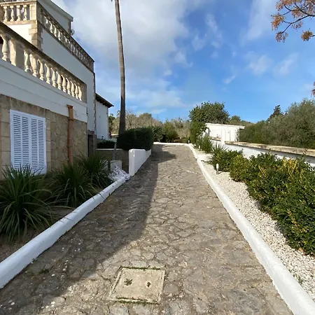Xxl Finca Buena Vista